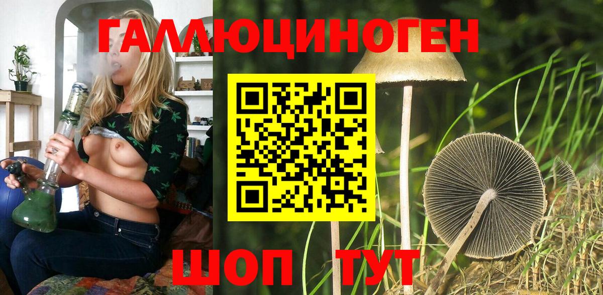 Псилоцибиновые грибы MAGIC MUSHROOMS Рославль